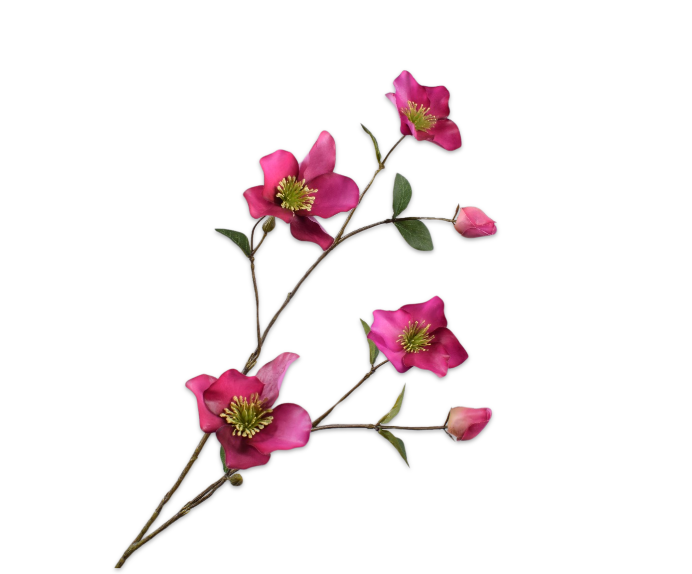 HELLEBORUS SPRAY LAV/PNK RT  94 CM