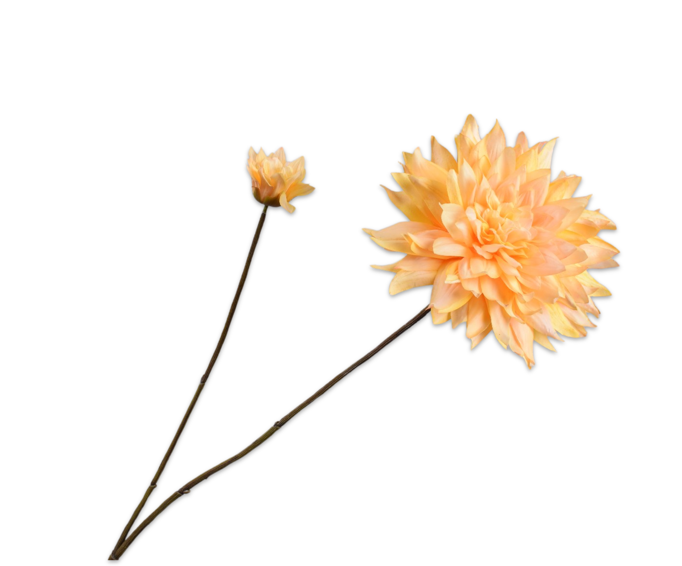 DAHLIA SPRAY YLL LT RT  102 CM