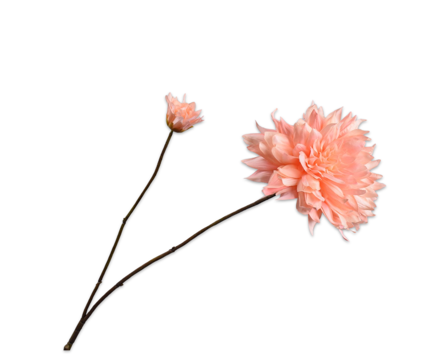 DAHLIA SPRAY CR/PNK RT  102 CM
