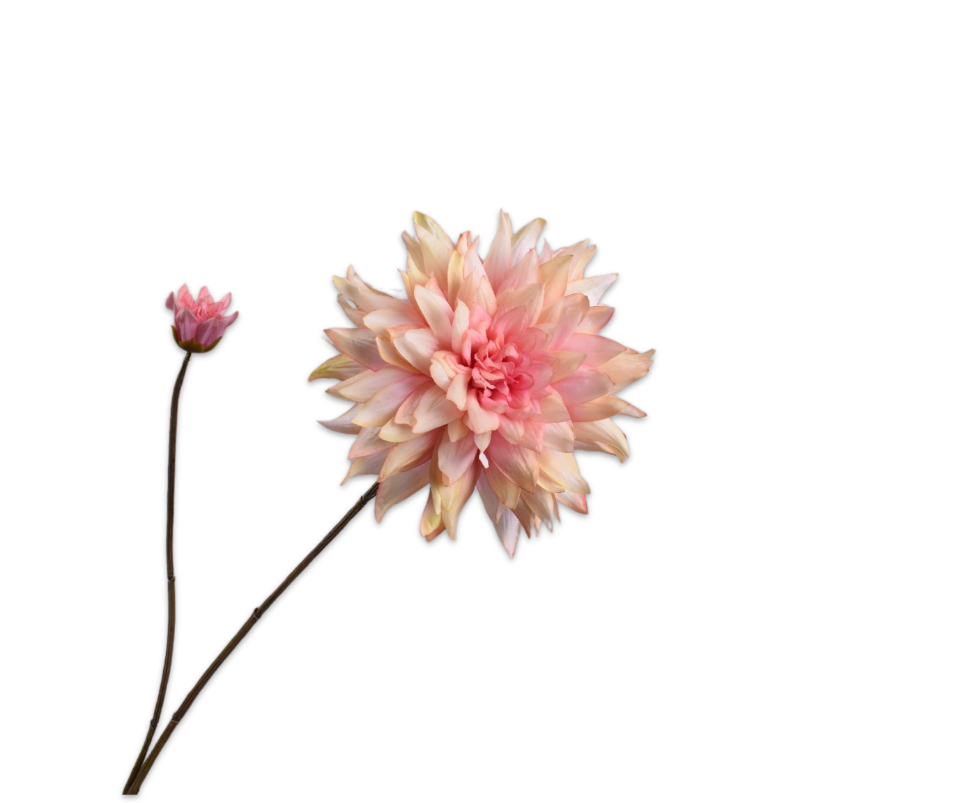 DAHLIA SPRAY PINK RT  102 CM
