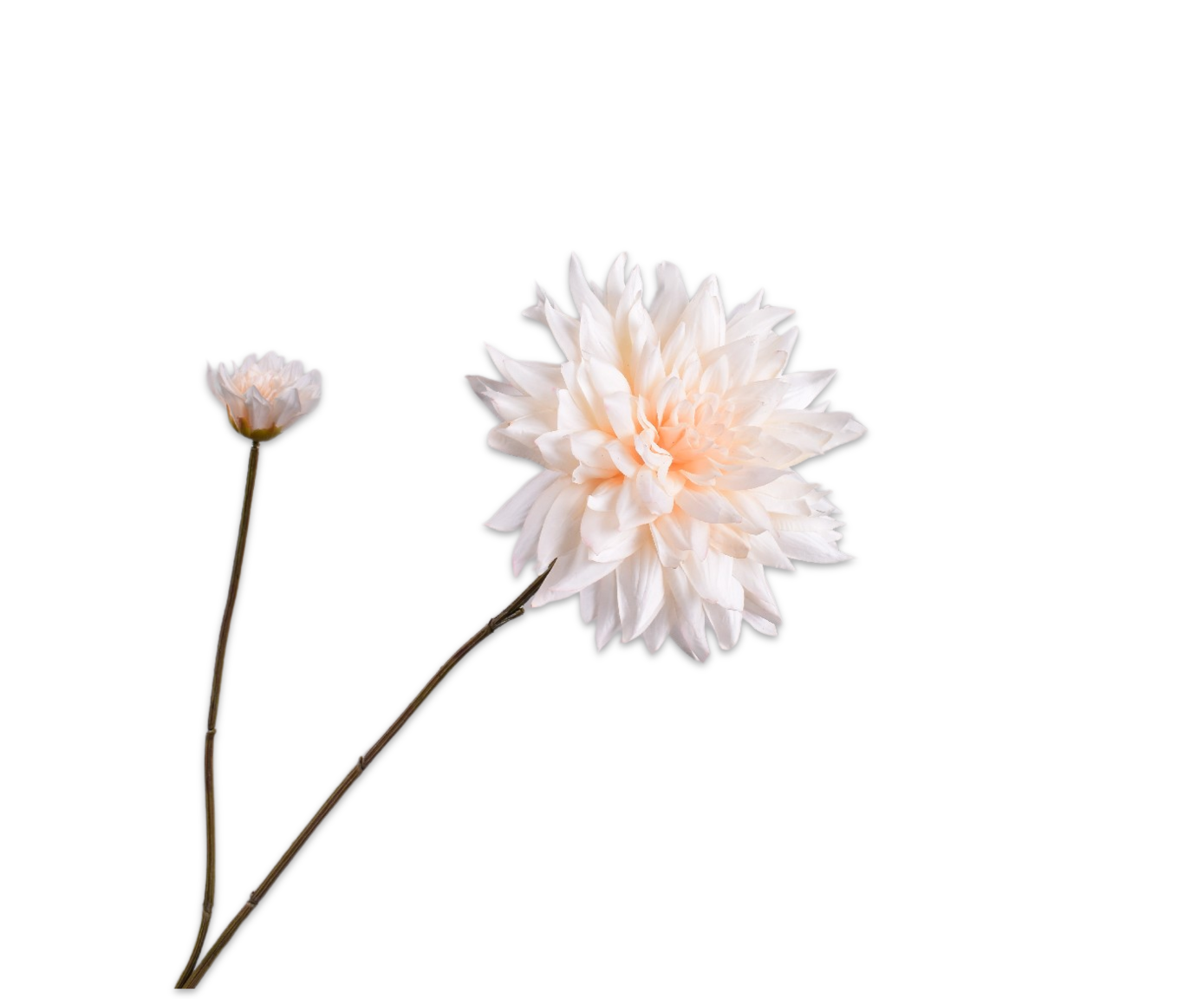 DAHLIA SPRAY CREAM RT  102 CM