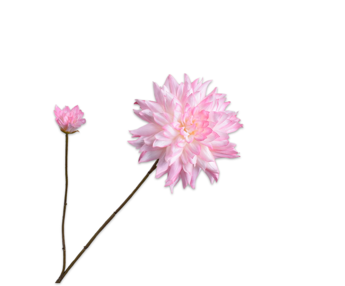 DAHLIA SPRAY PINK LT RT  102 CM