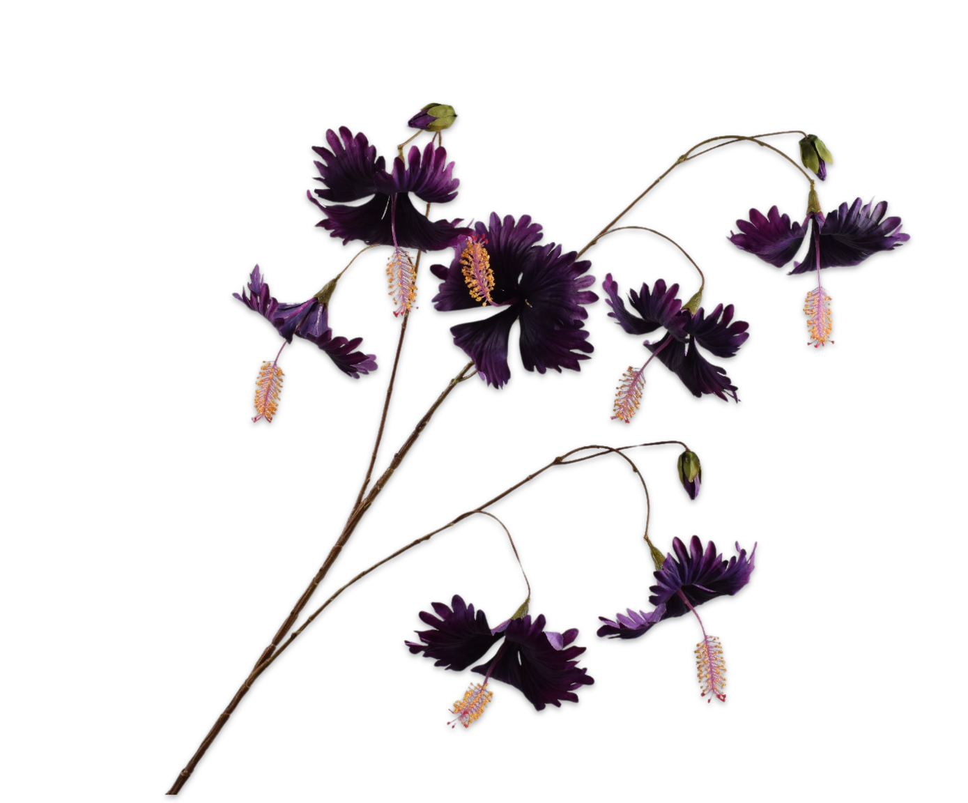 HIBISCUS SPRAY BEAUTY  110 CM