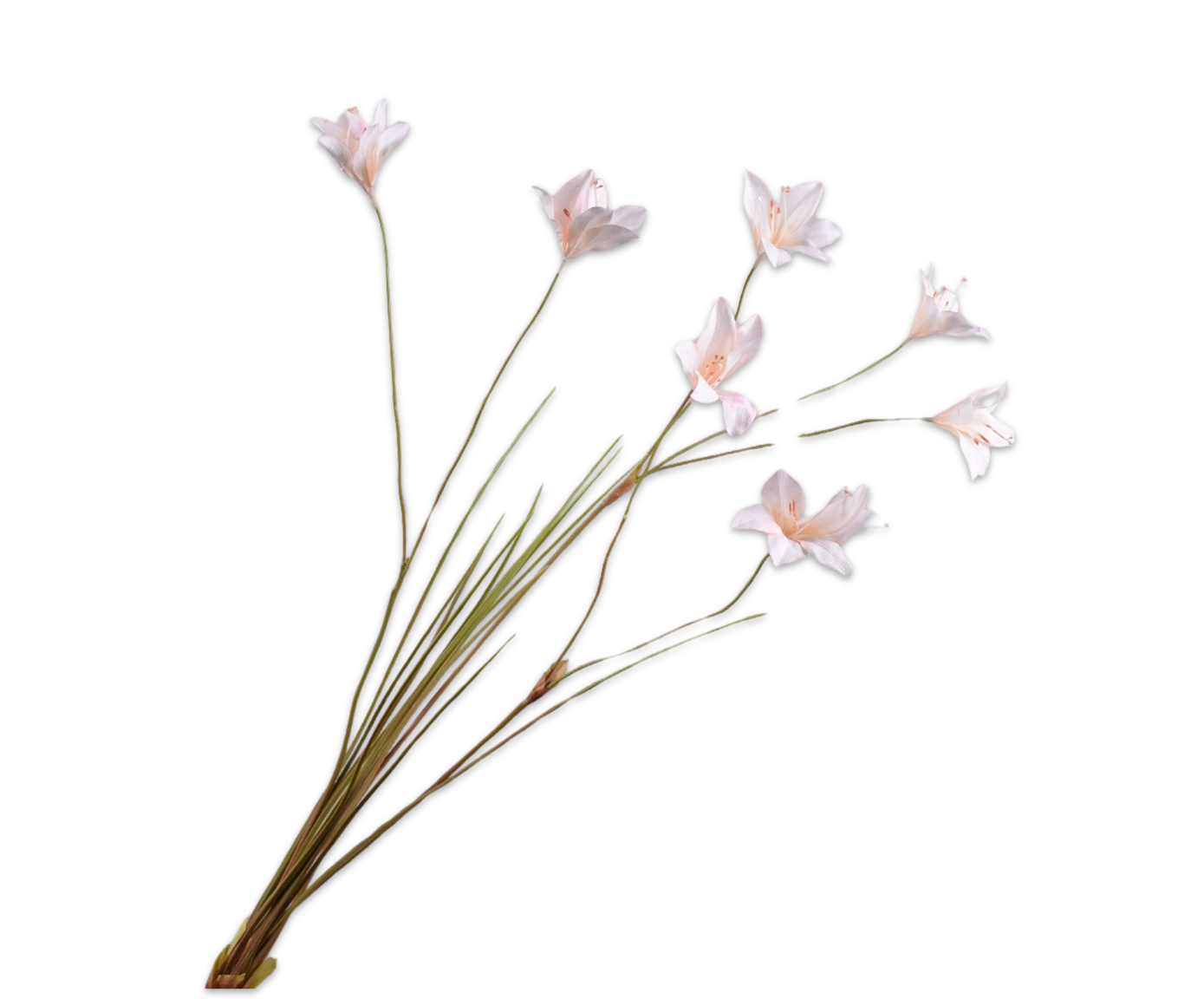 LELIE TAK CREME  94 cm