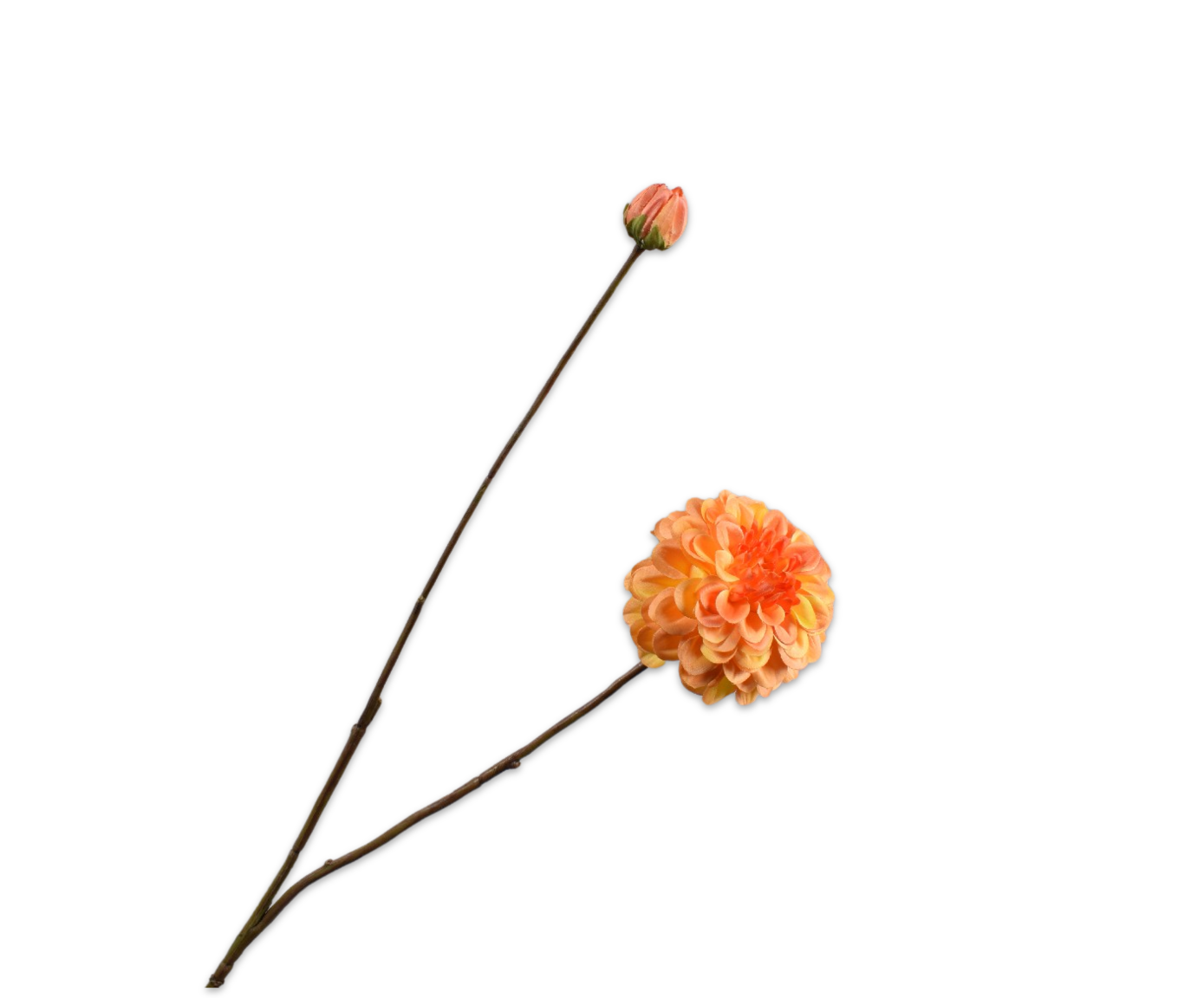 DAHLIA TAK GOUD/GEEL 86 cm