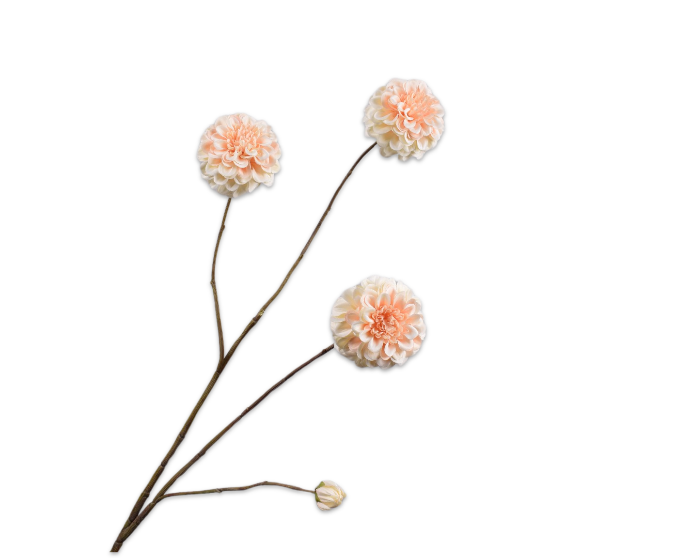 DAHLIA SPRAY CREAM  103 CM