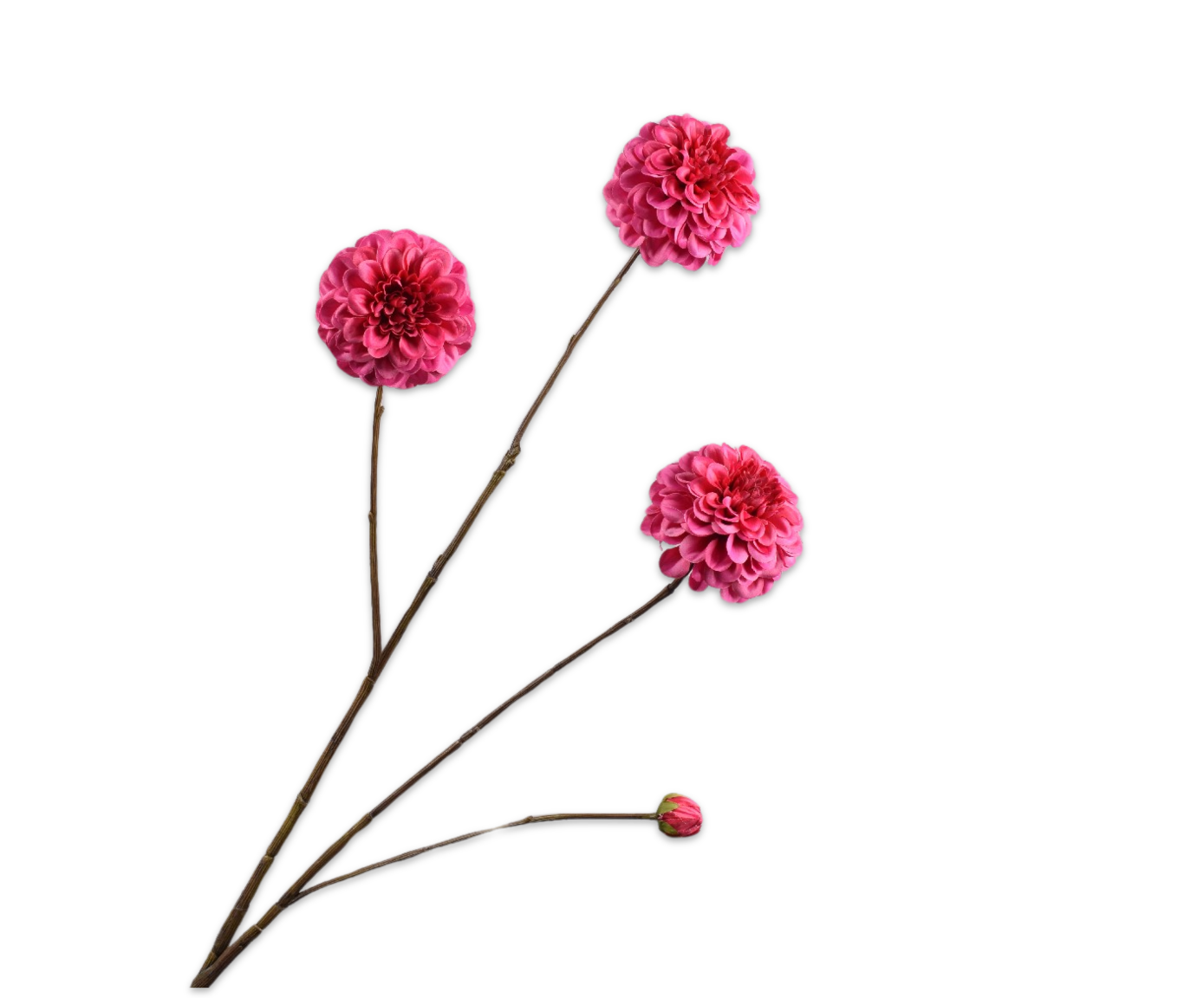 DAHLIA SPRAY BEAUTY  103 CM