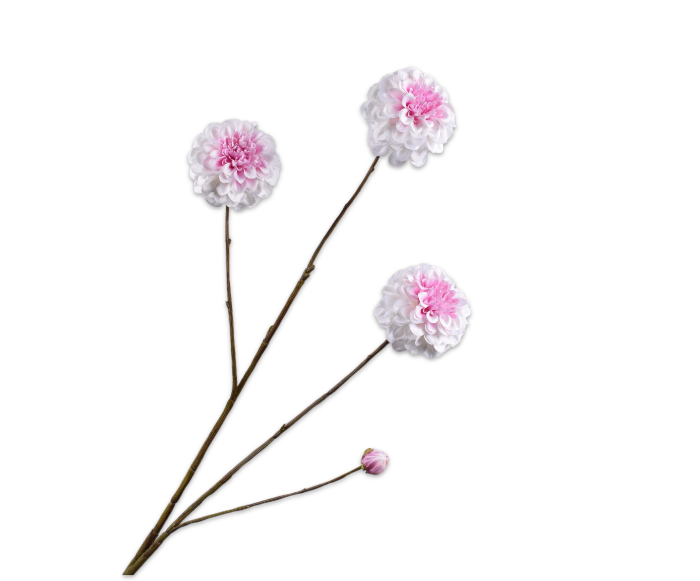 DAHLIA SPRAY WHT/PNK  103 CM