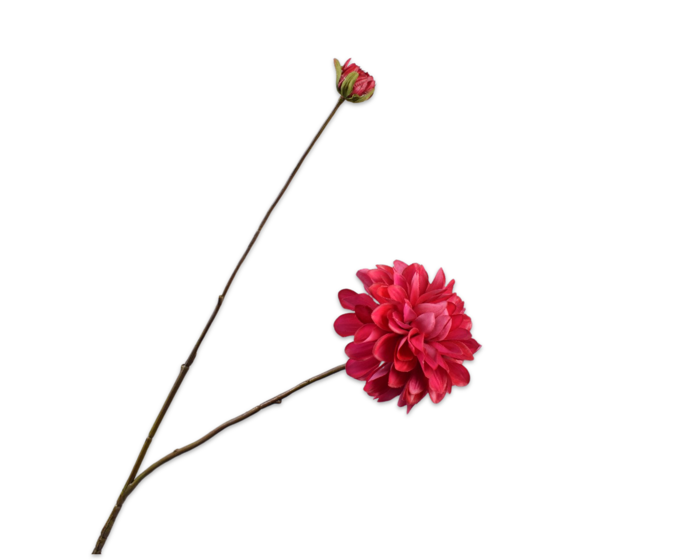 DAHLIA SPRAY BEAUTY RT  86 CM