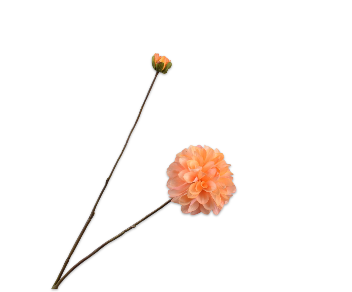 DAHLIA SPRAY YLL/ORG RT  86 CM