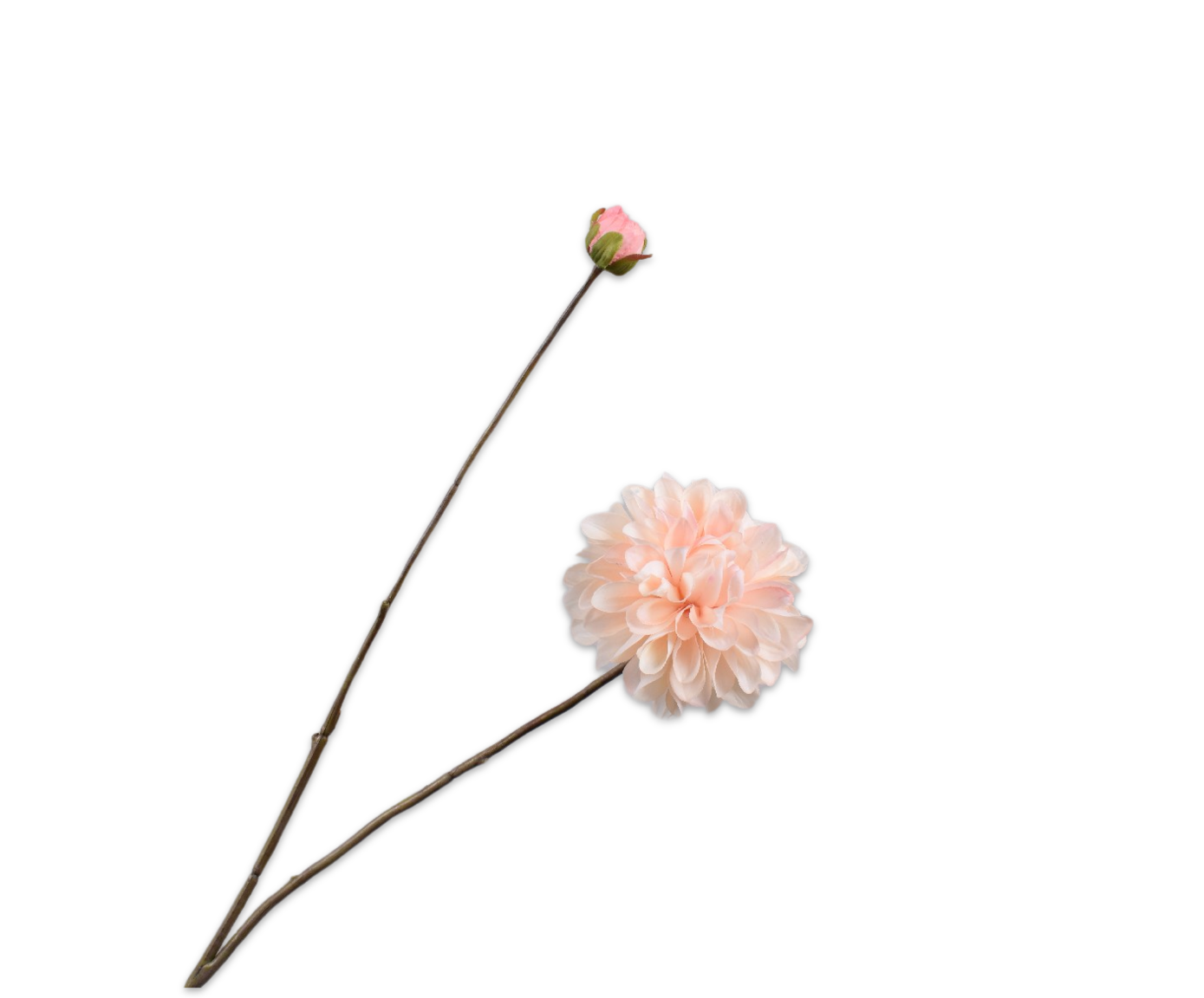 DAHLIA SPRAY PEACH RT  86 CM