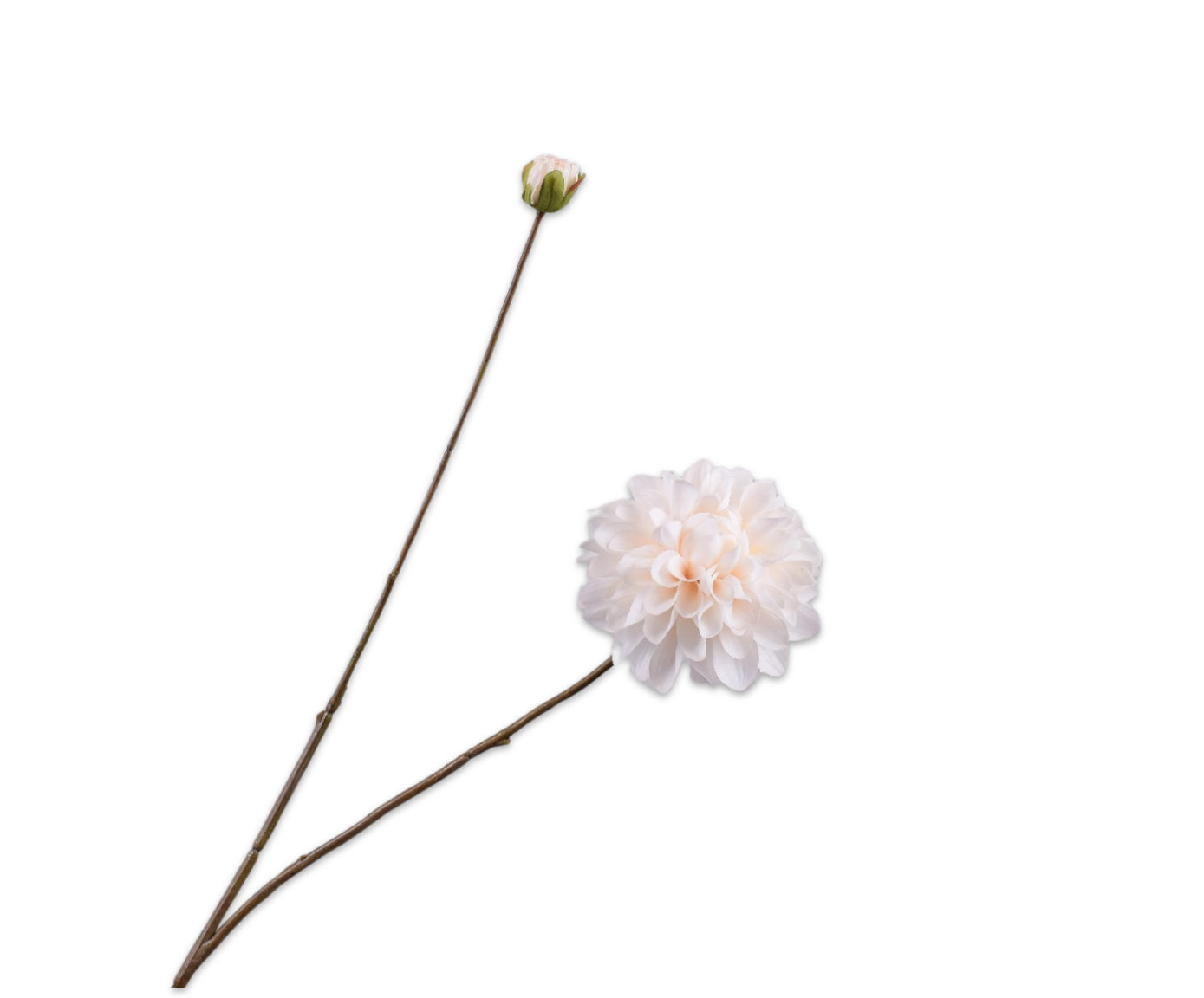 DAHLIA SPRAY CREAM RT  86 CM