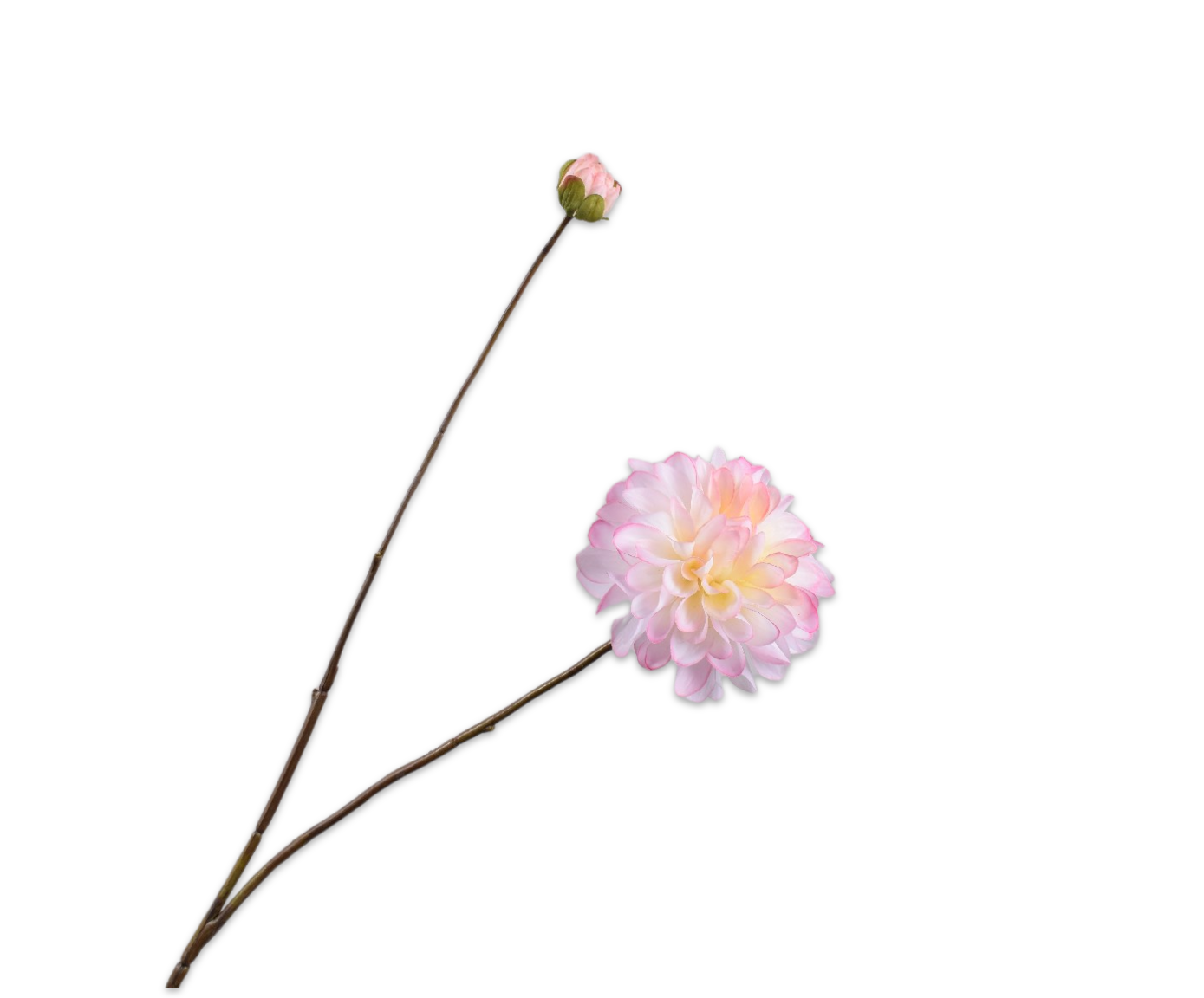 DAHLIA SPRAY PNK/WHT RT  86 CM