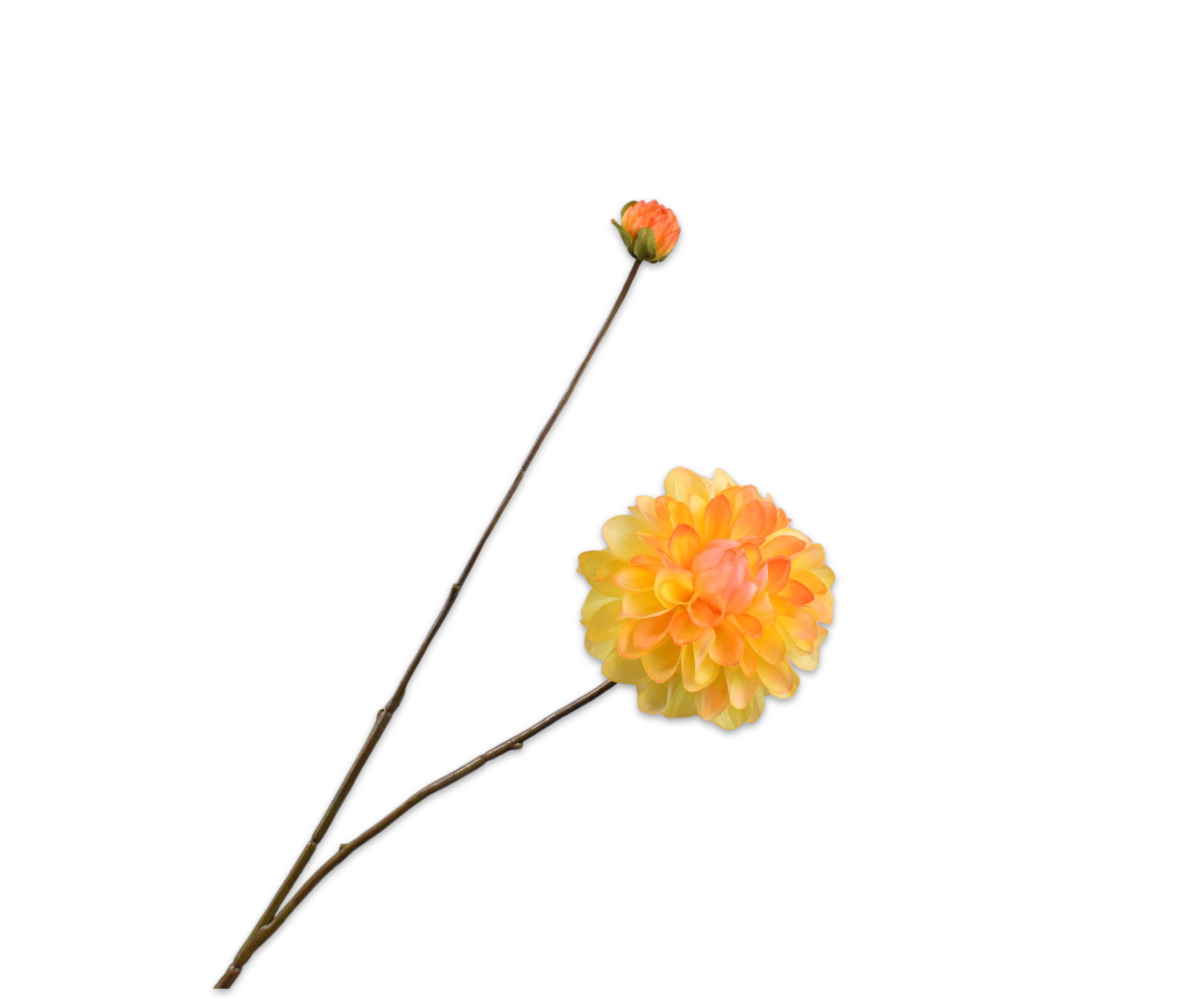 DAHLIA SPRAY YELLOW RT  86 CM