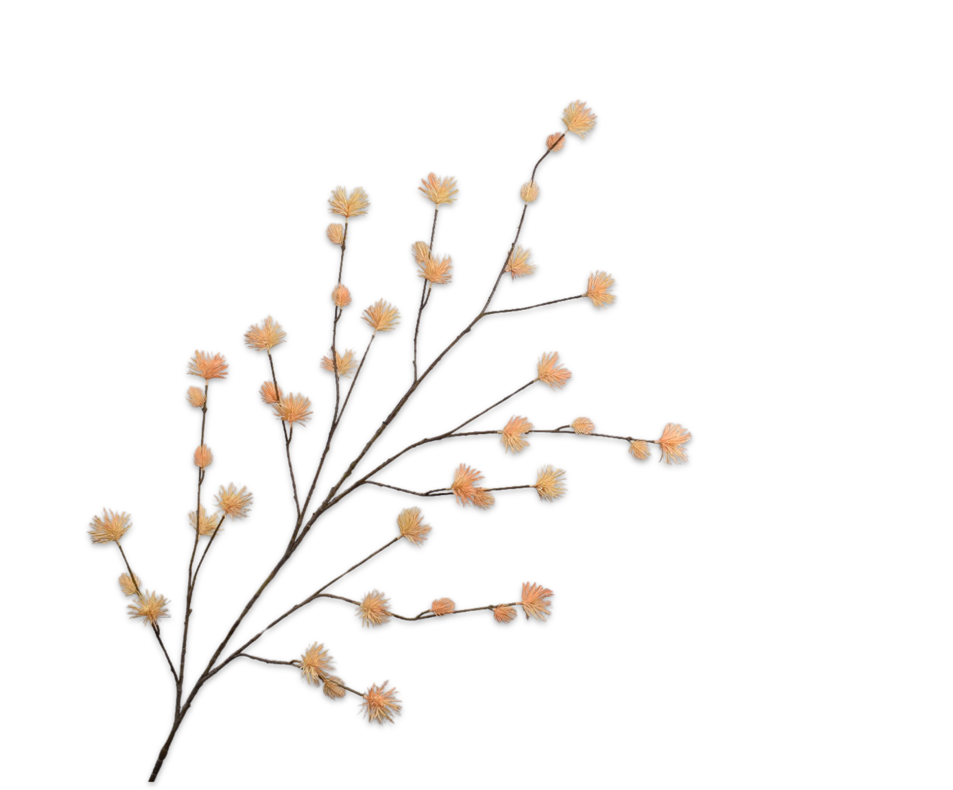 RAMA CONIFERA PINO AMAR.CLA  149 CM