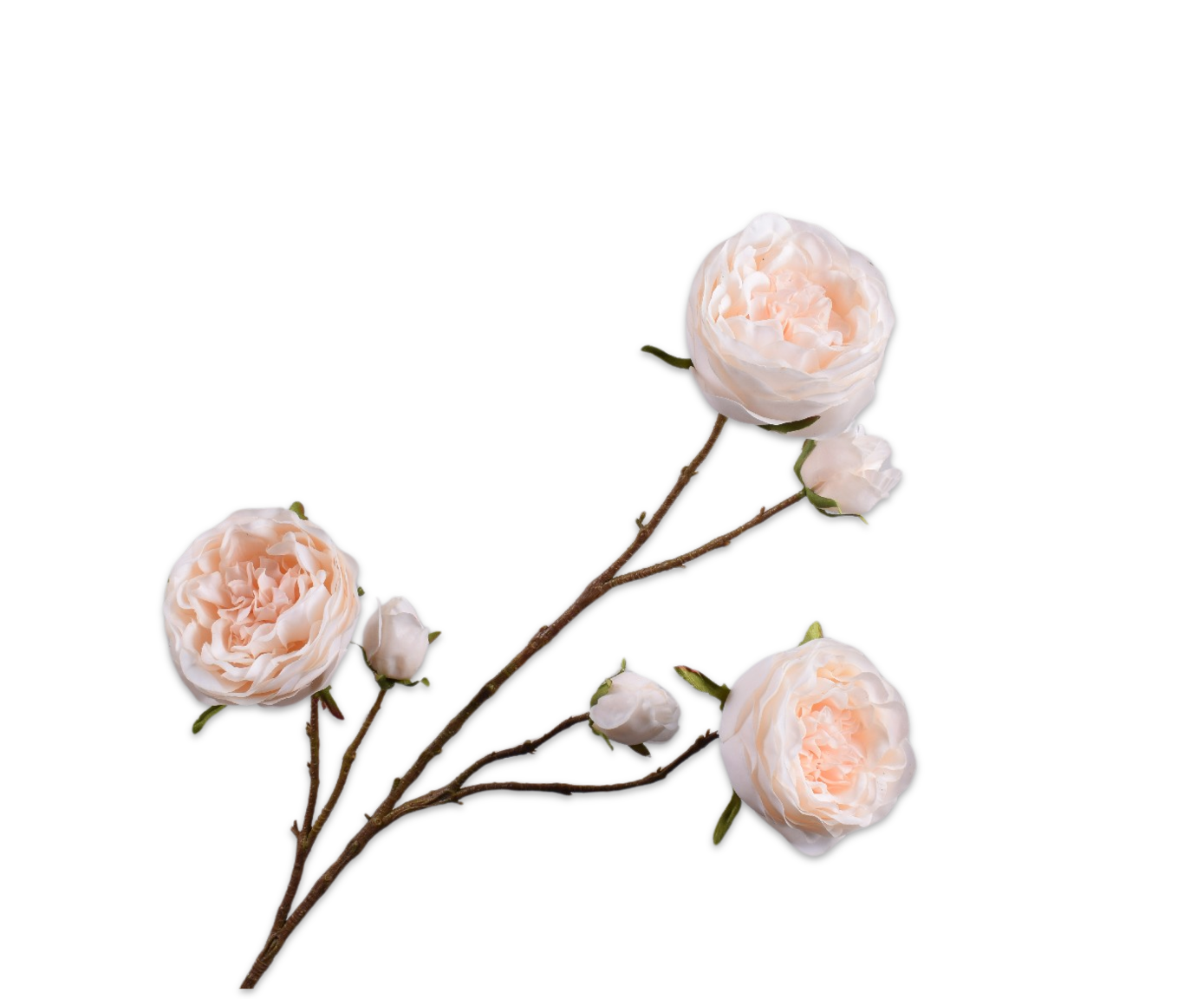 ROOS TAK PZK/CR RT 101 cm