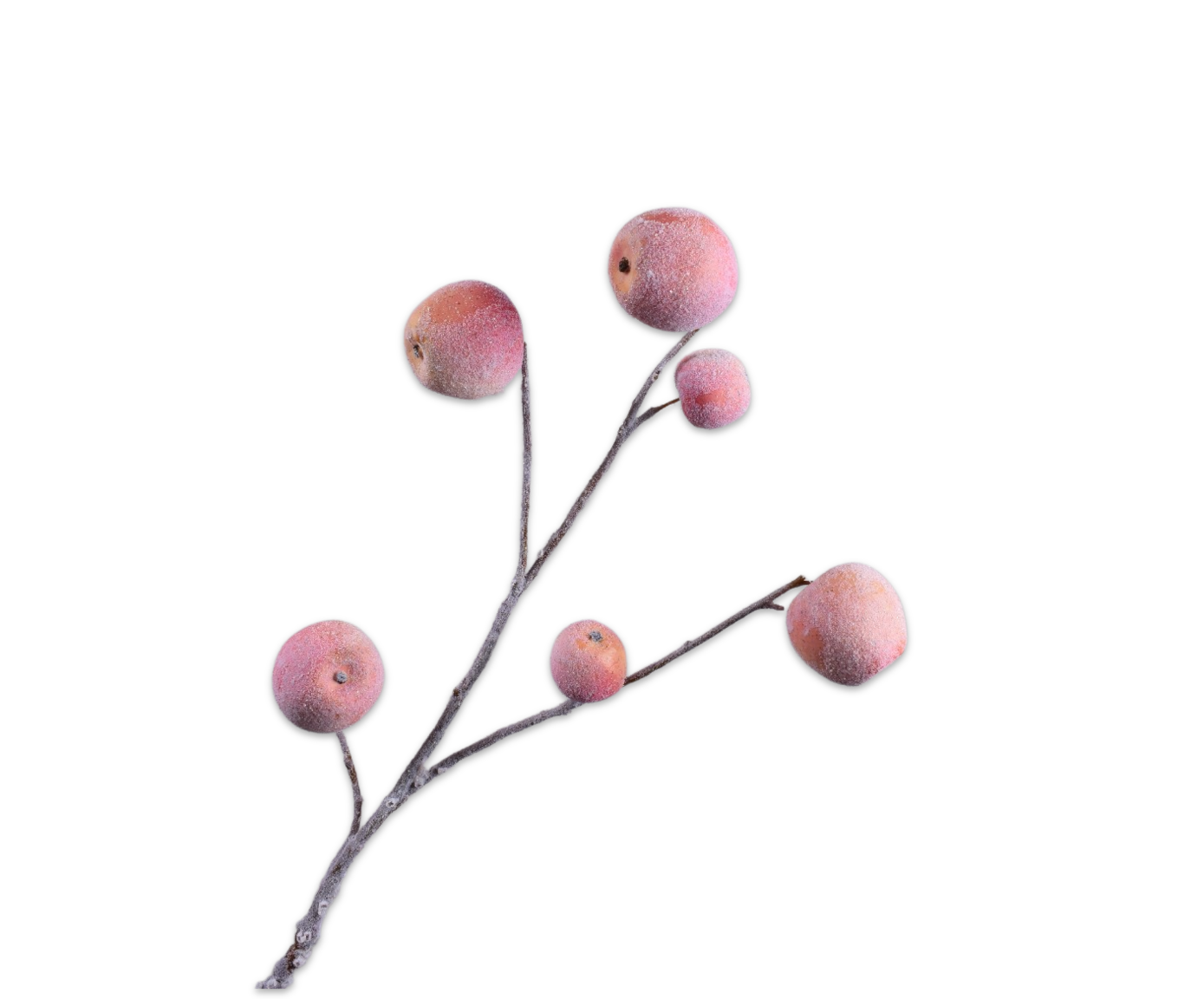 APPEL TAK M/SNW ROZE 87 cm