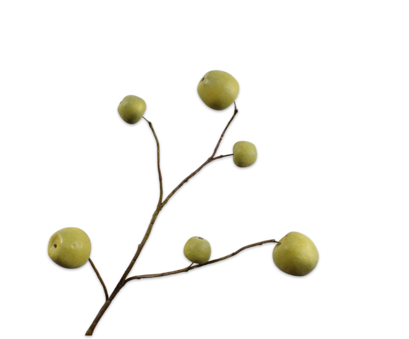 MANZANA RAMA VERDE  87 CM