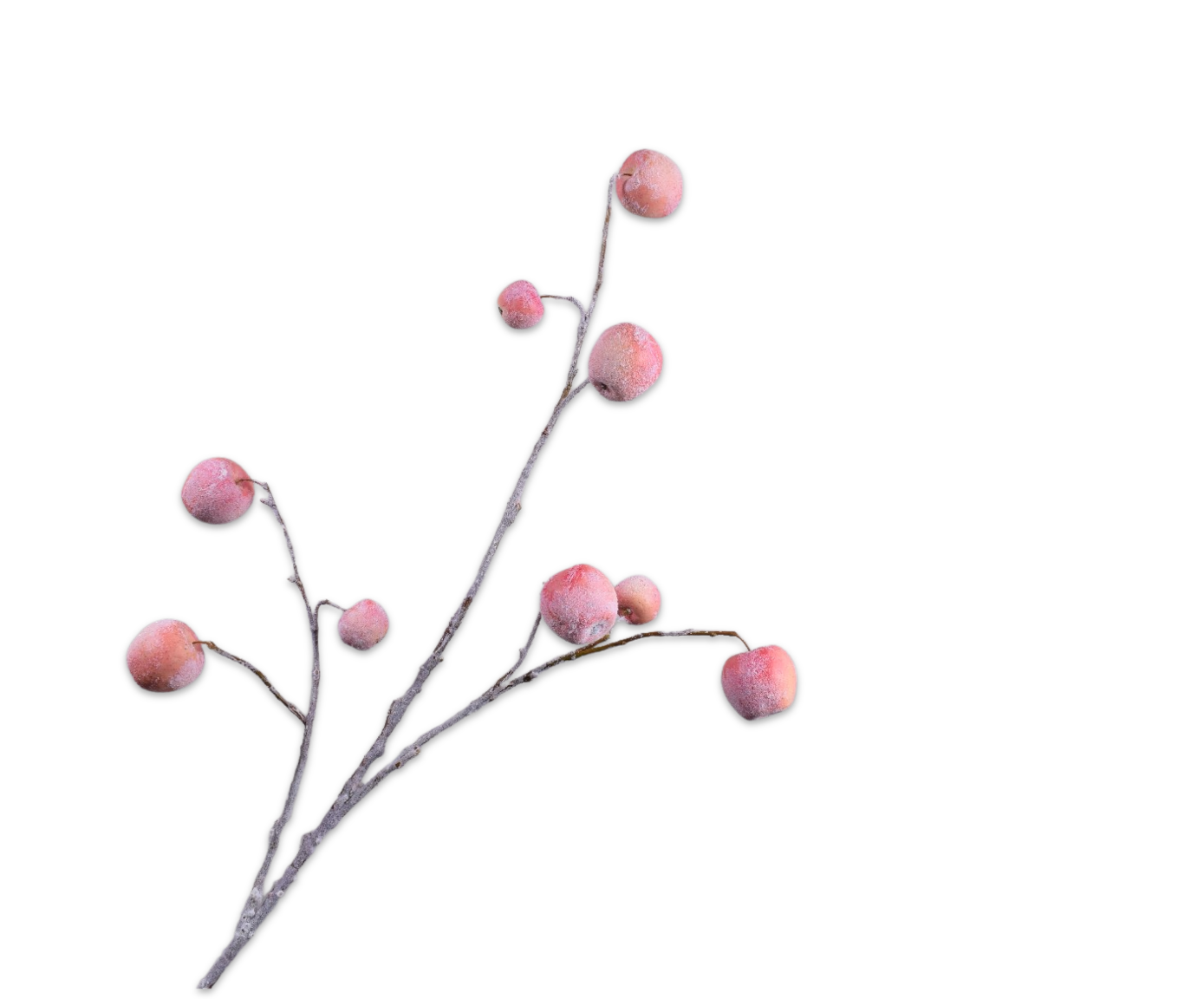 APPEL TAK M/SNW PERZIK 123 cm