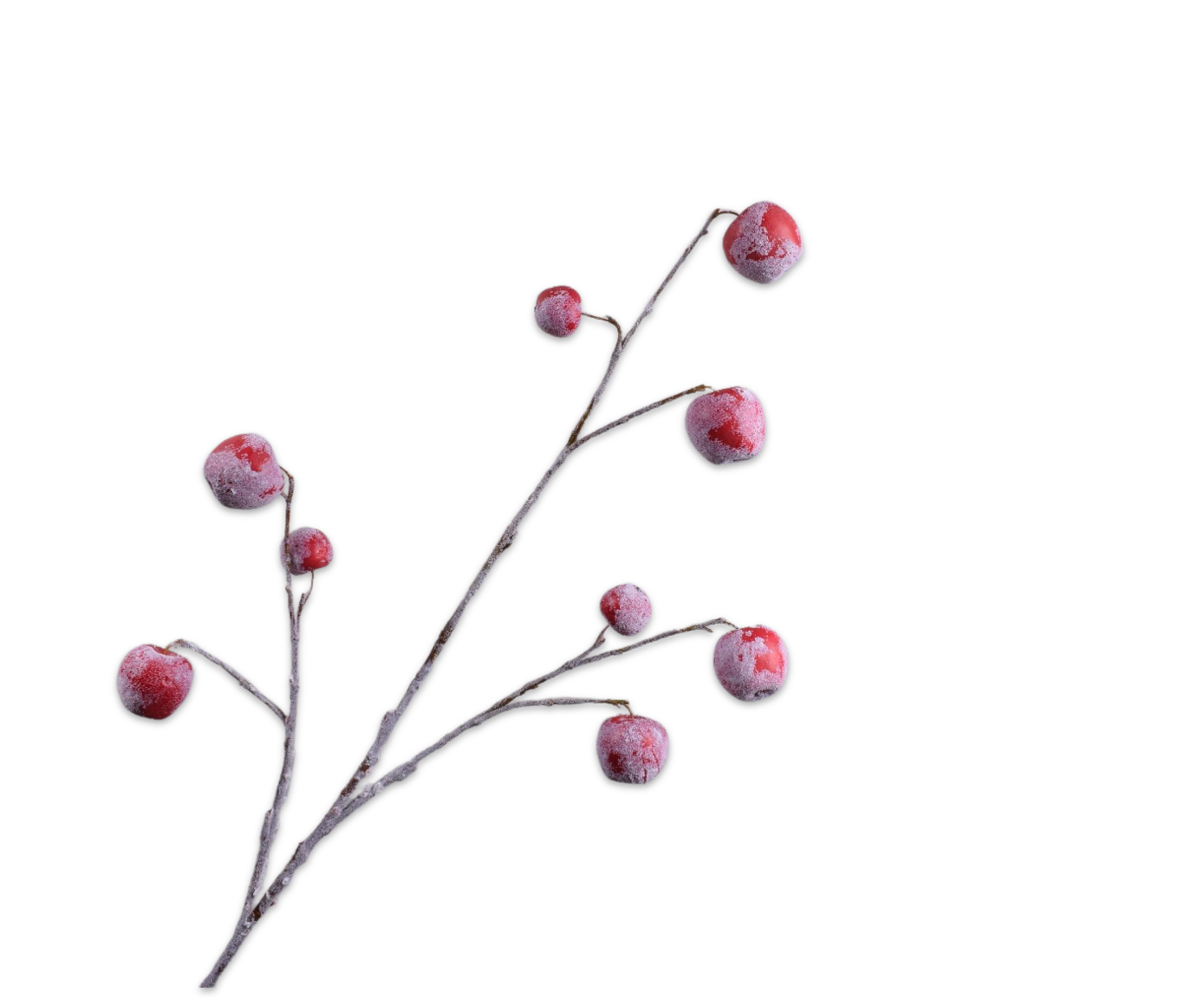 APPEL TAK M/SNW ROOD 123 cm