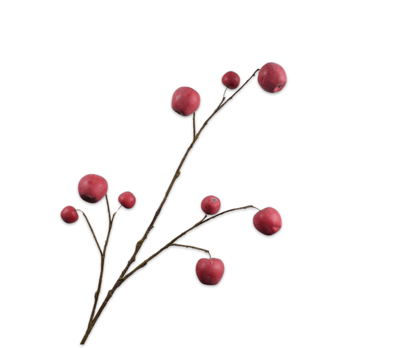 MANZANA RAMA ROJO  123 CM