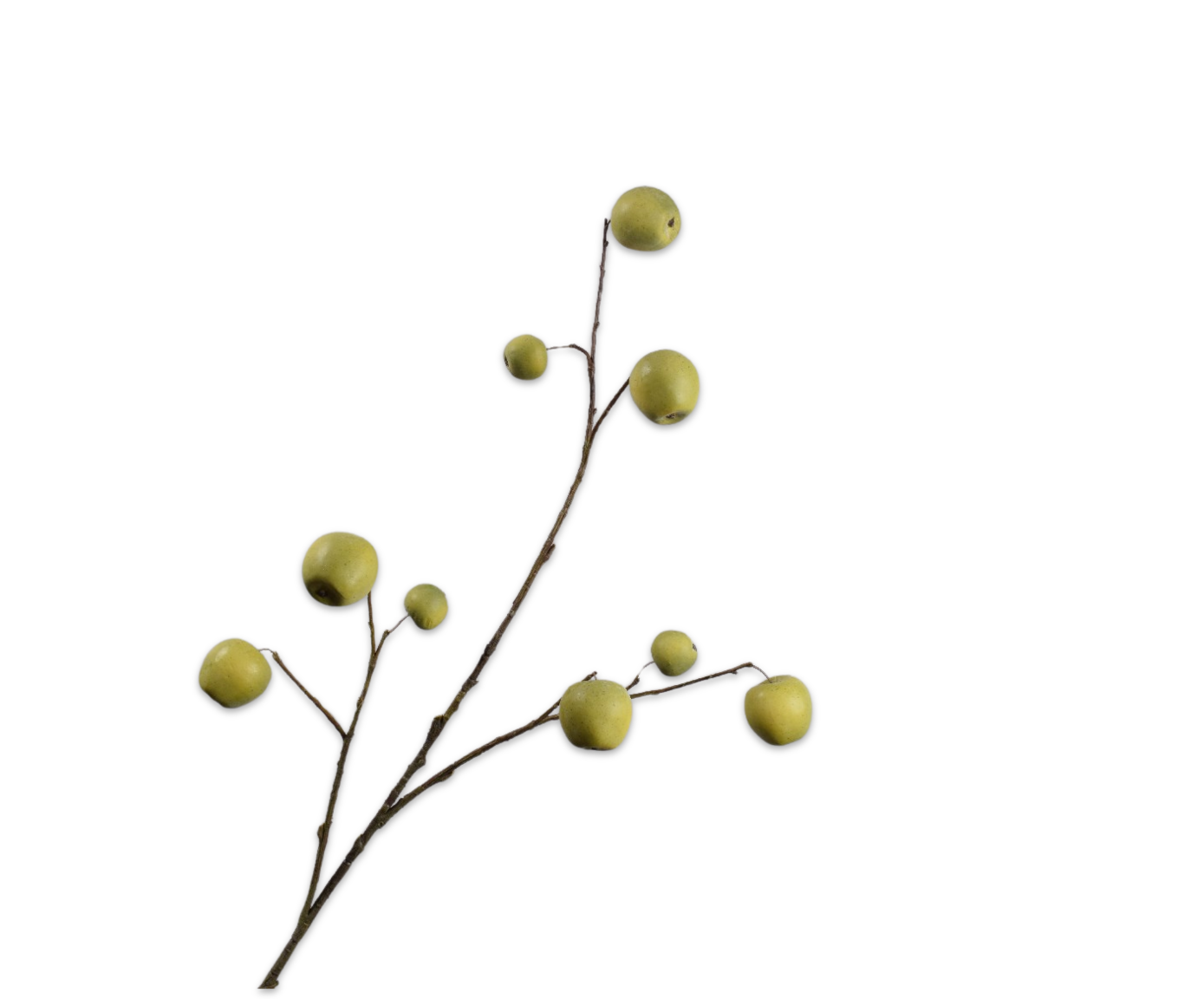 MANZANA RAMA VERDE  123 CM