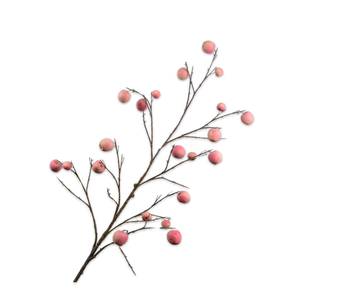 MANZANA RAMA MELOCOTON  181 CM