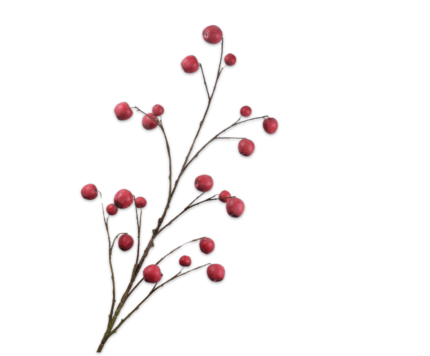 MANZANA RAMA ROJO  181 CM