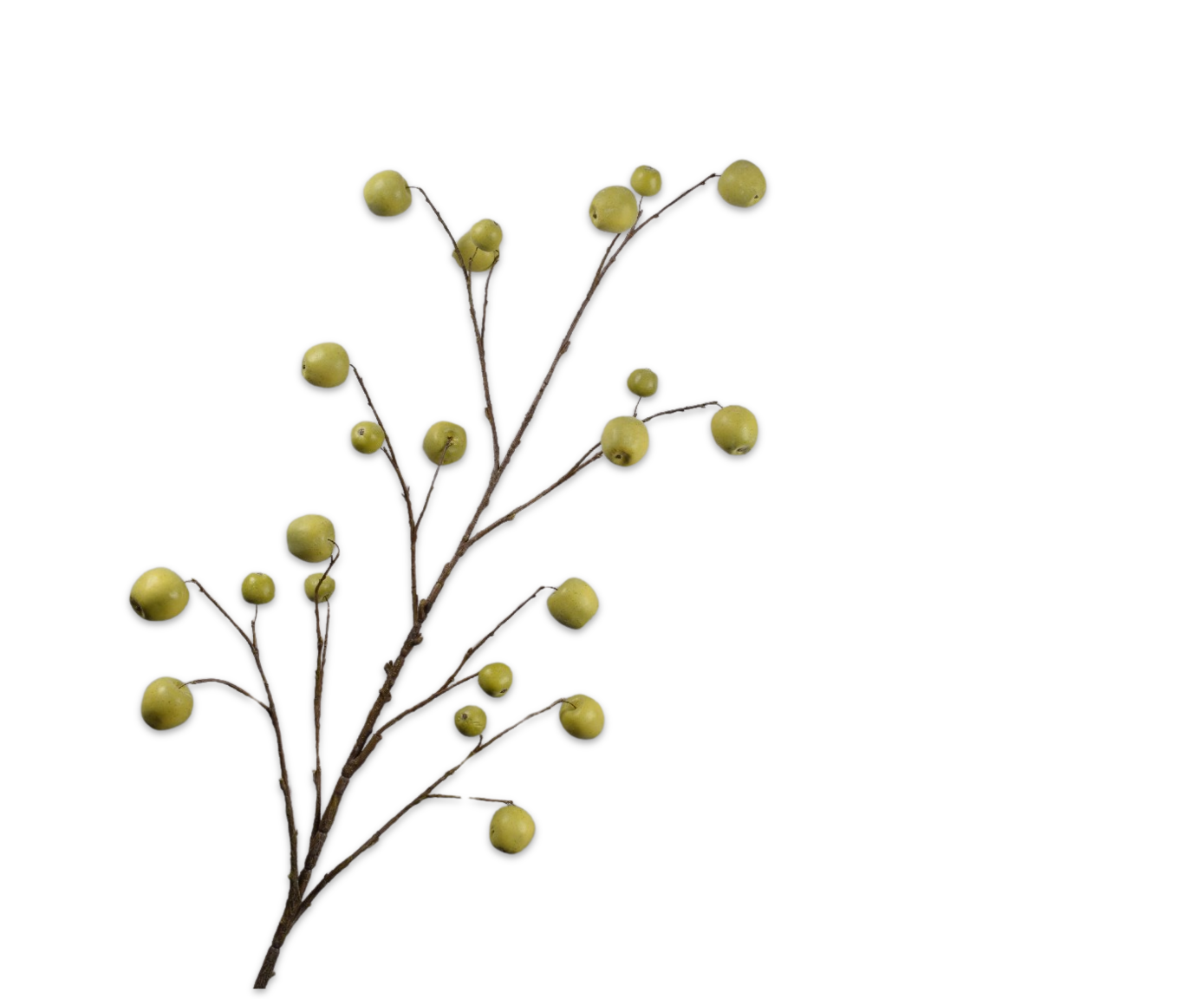 MANZANA RAMA VERDE  181 CM