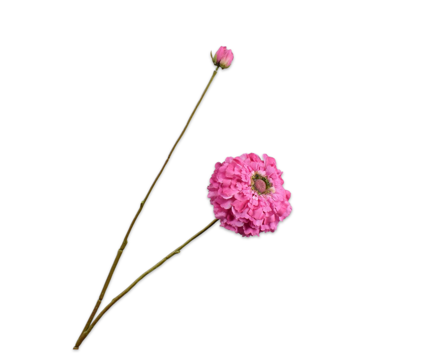 ZINNIA TAK LAVEND 85 cm