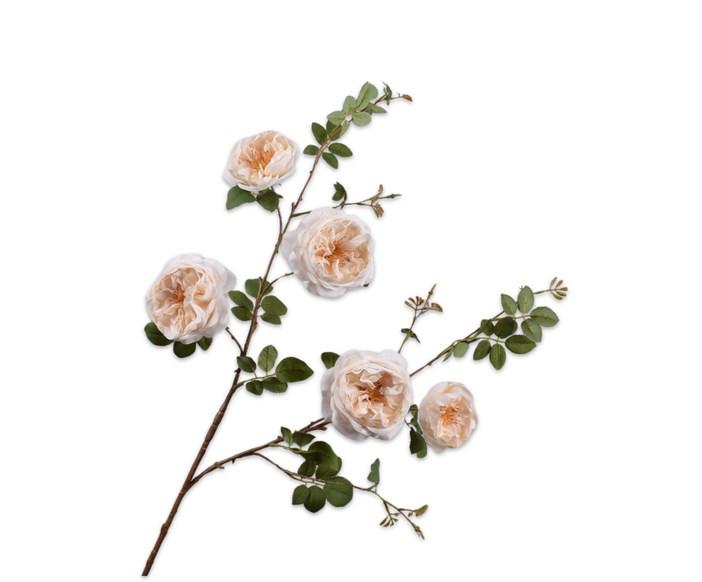 ROSE SPRAY CREAM  112 CM