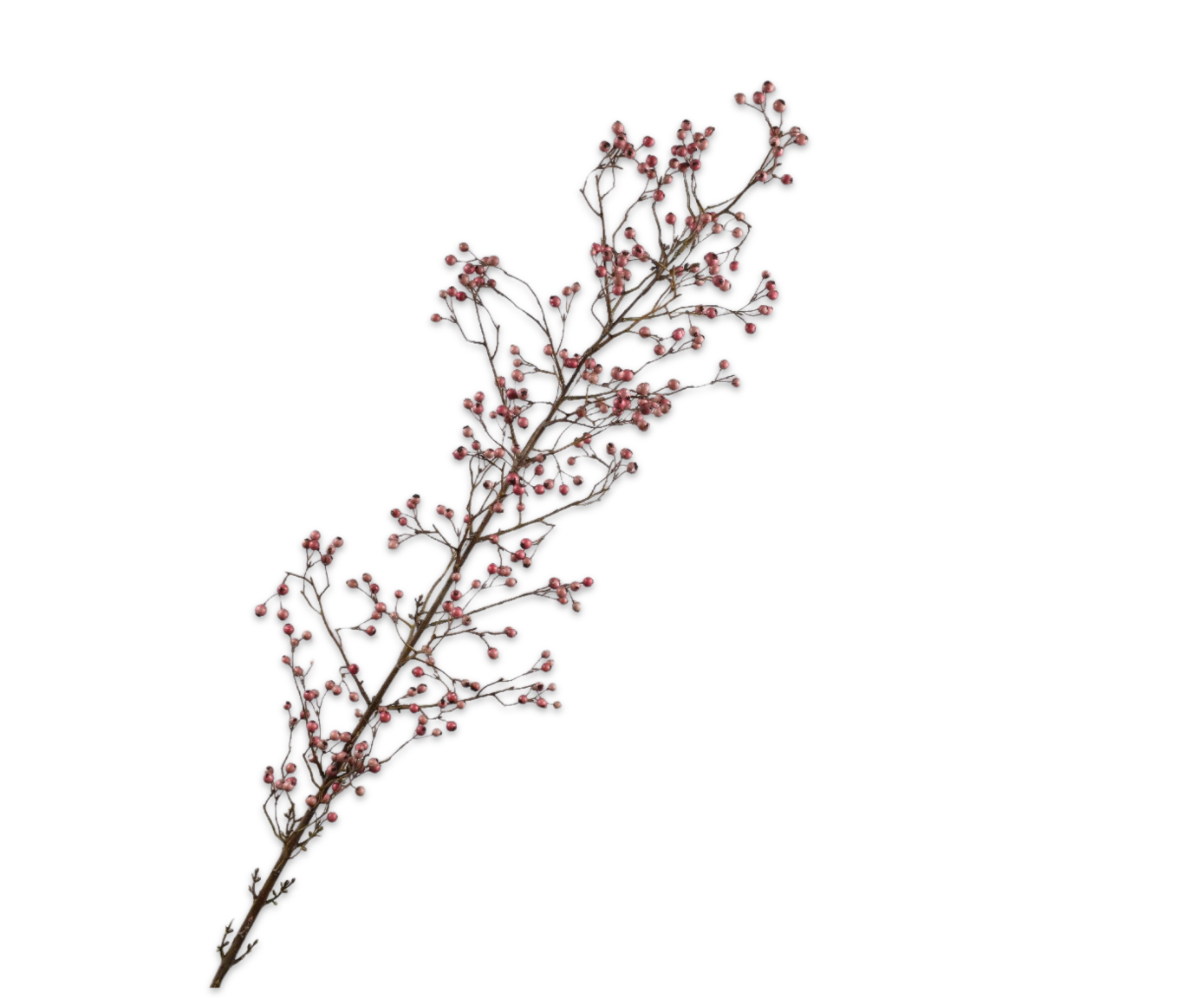 BERRY SPRAY  LAVEND  155 CM