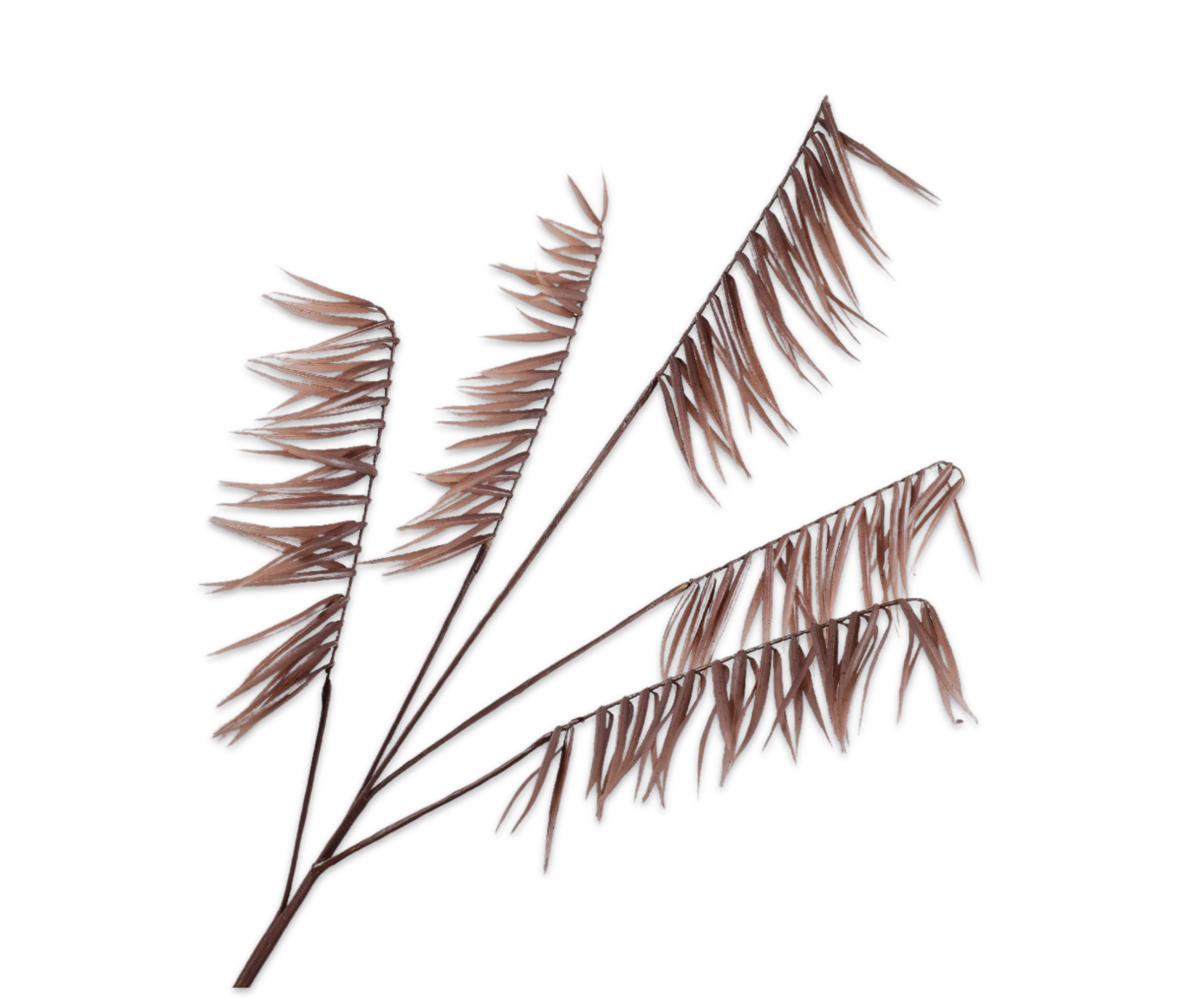 VAREN TAK BRUIN  113 cm