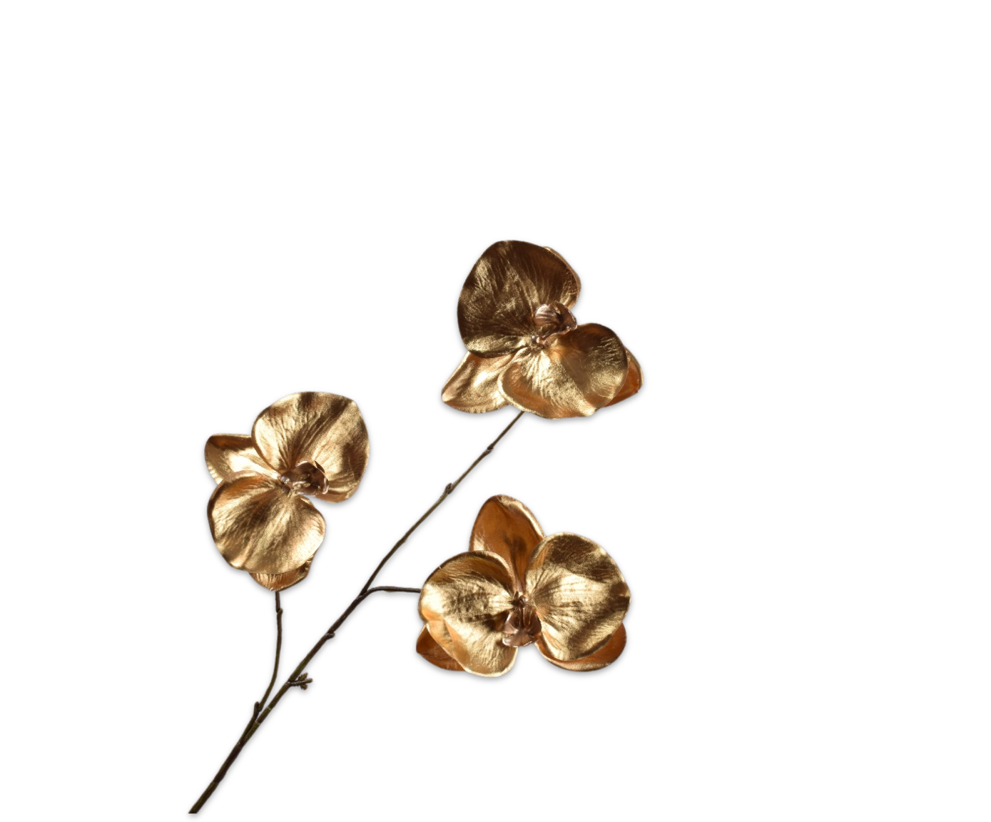 PHALAENOPSIS SPRAY GOLD  79 CM