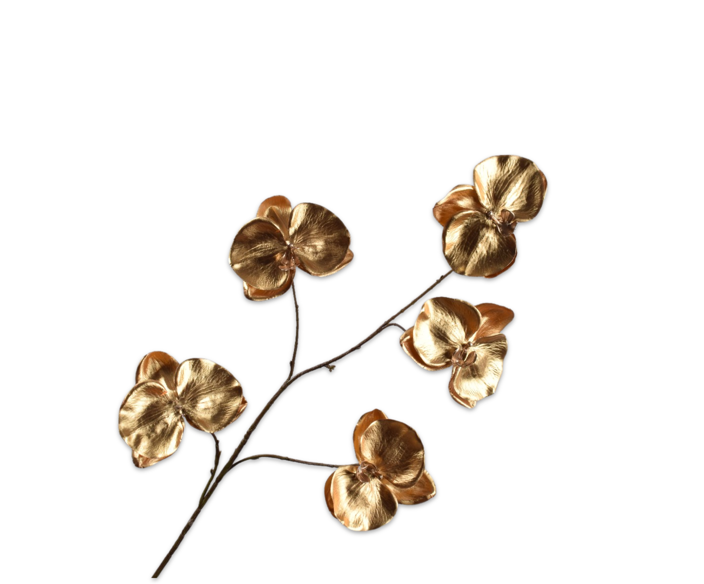 PHALAENOPSIS SPRAY GOLD  109 CM