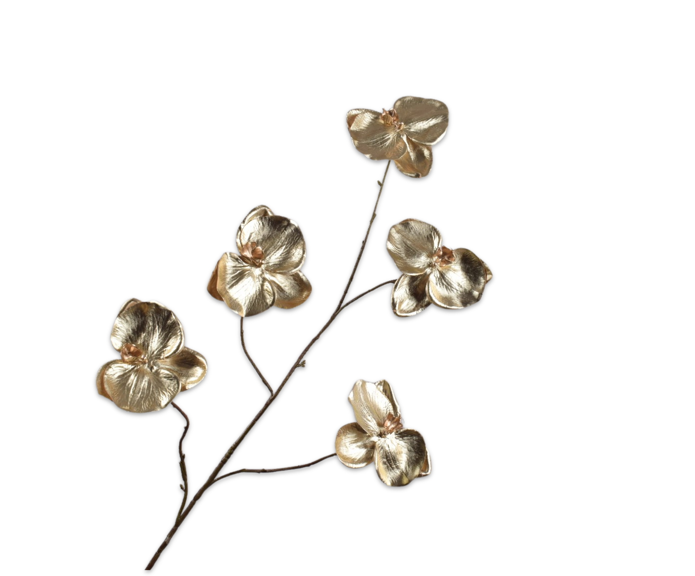 PHALAENOPSIS SPRAY CHAMP  109 CM