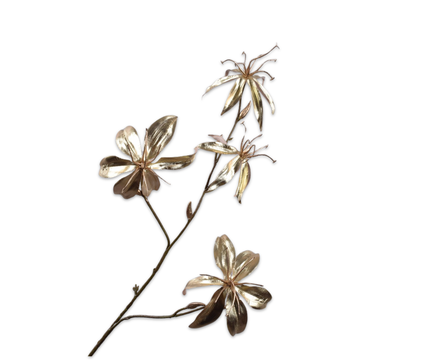 GLORIOSA SPRAY CHAMP  80 CM