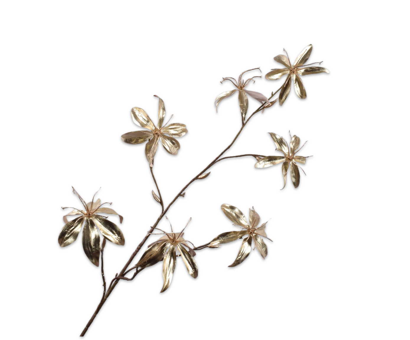 GLORIOSA SPRAY CHAMP  111 CM