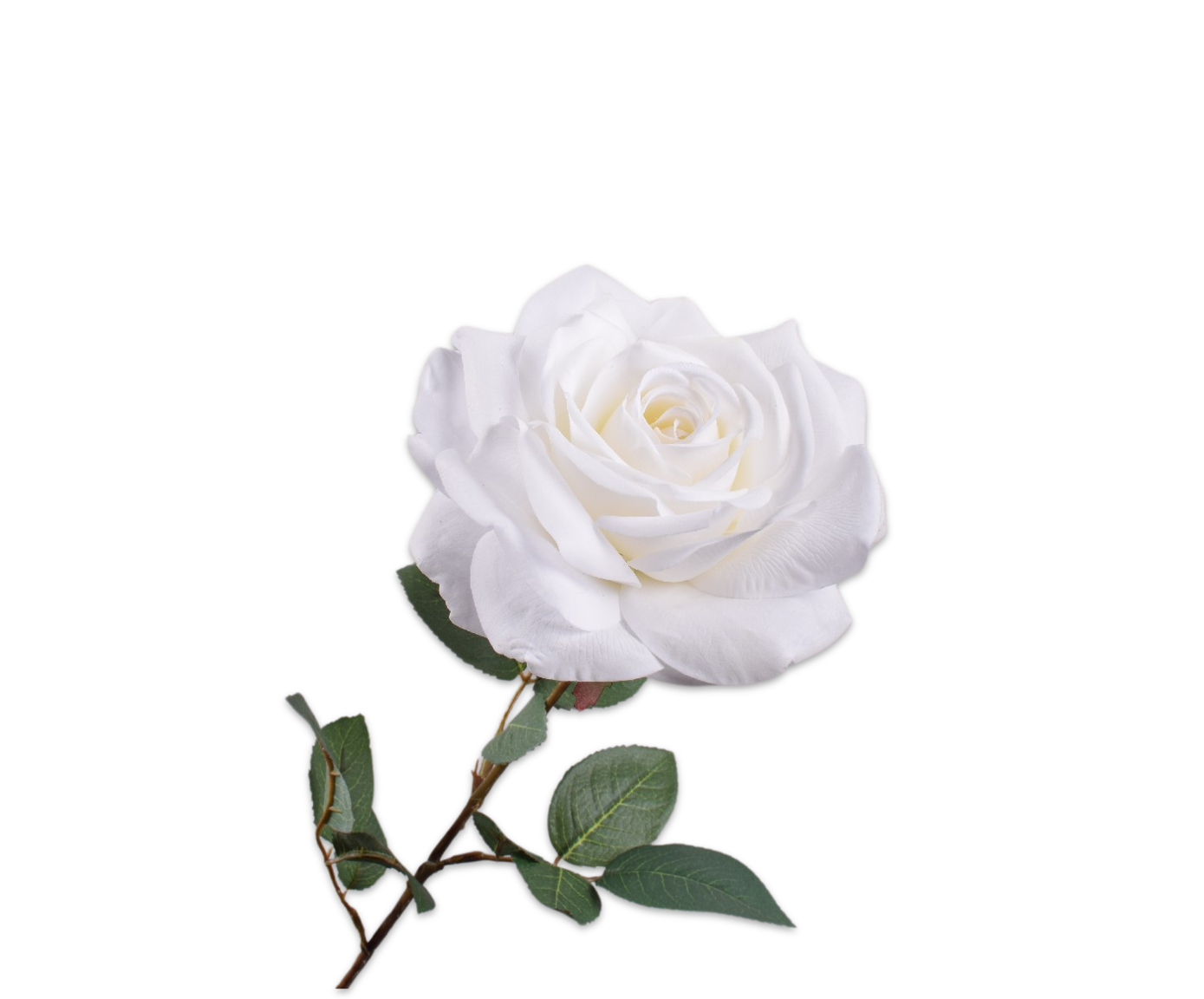 ROSE STEM WHITE RT  76 CM