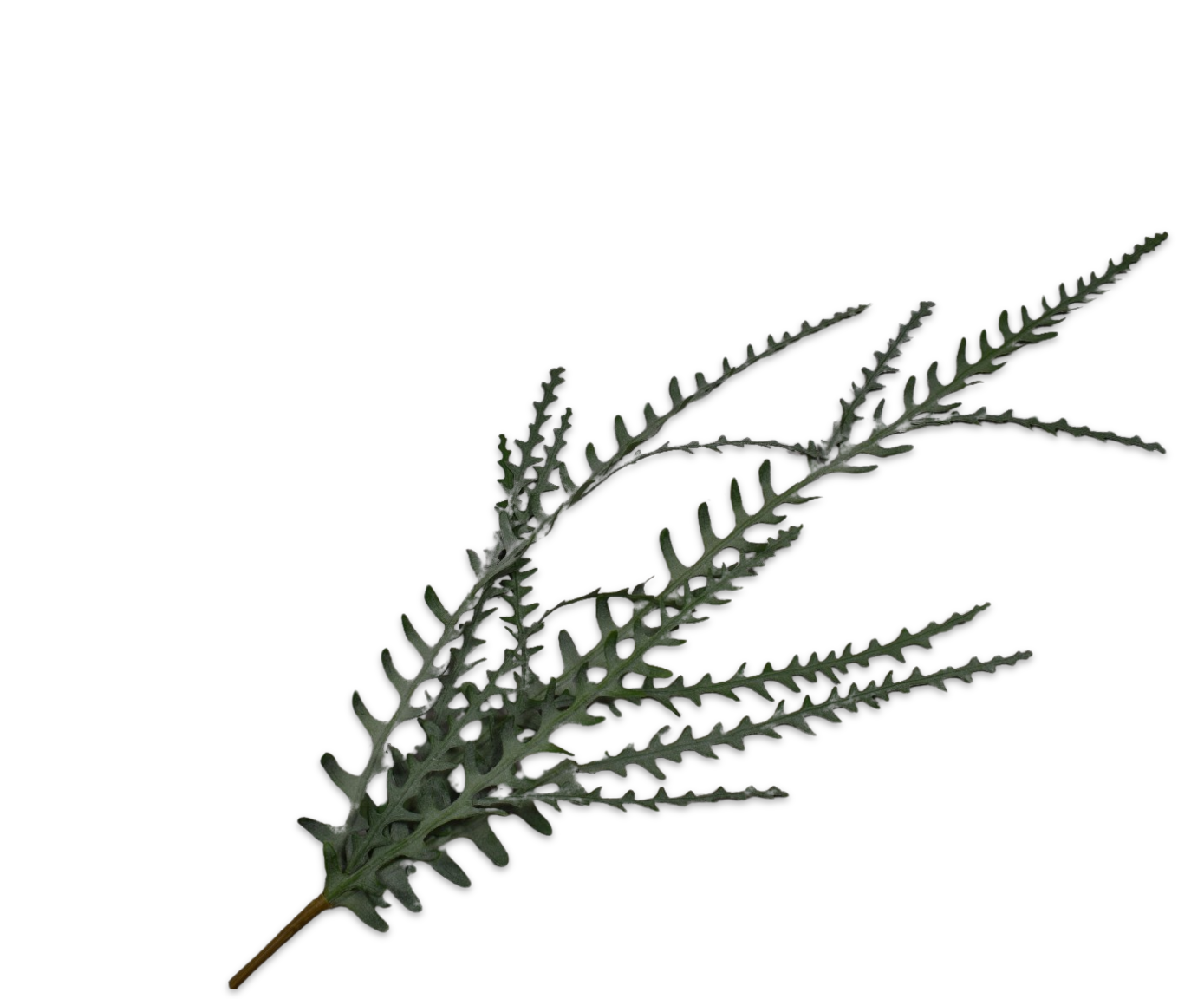 SUCCULENT SPRAY ICE GREEN  129 CM