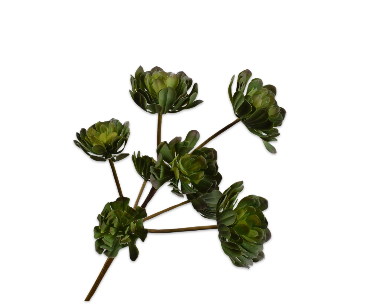 SUCCULENT SPRAY GREEN  60 CM