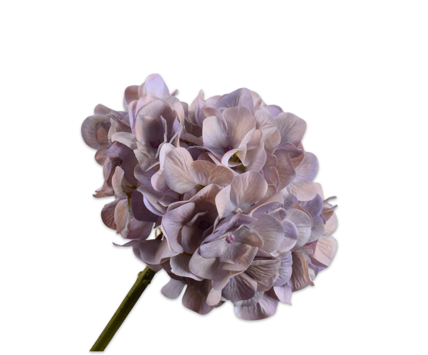 HORTENSIA STEEL GRN/ROZ 48 cm