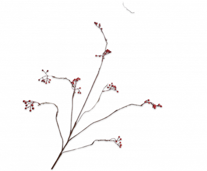 BERRY BRANCHE  ROUGE  127 CM