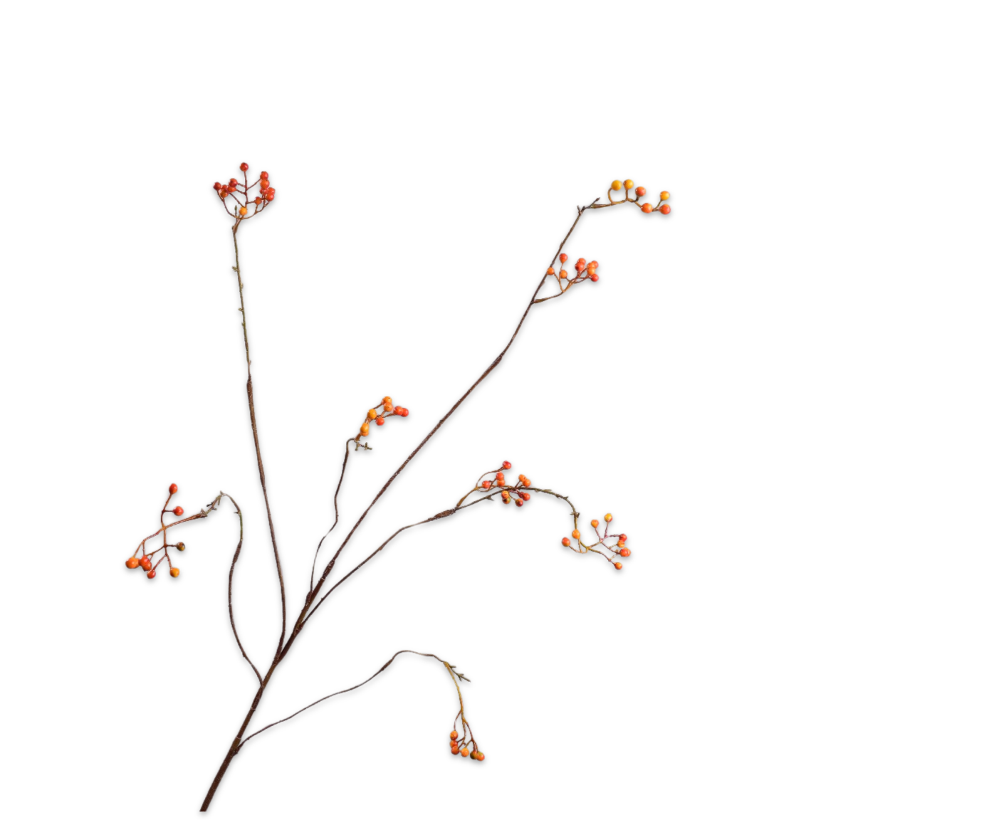 BESSENTAK  ORANJE 127 cm