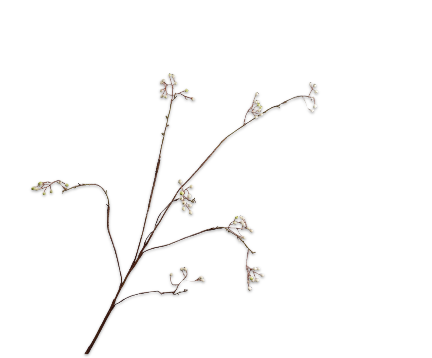 BERRY SPRAY  WHT/GRN  127 CM