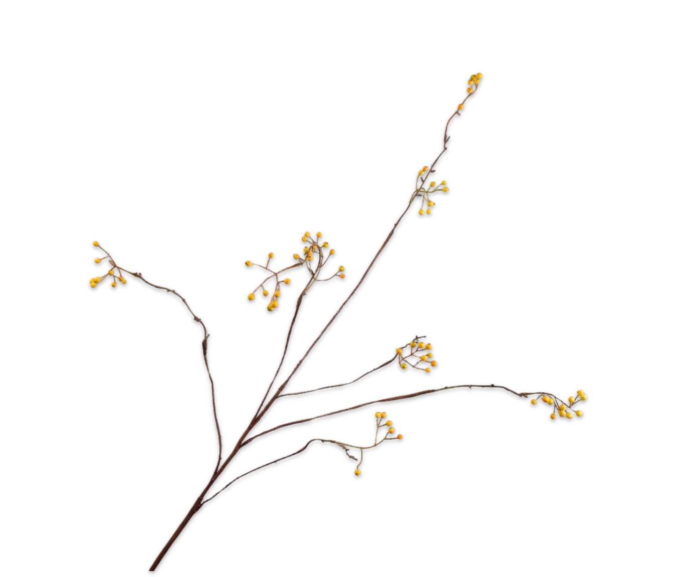 BERRY SPRAY  YLL/GRN  127 CM
