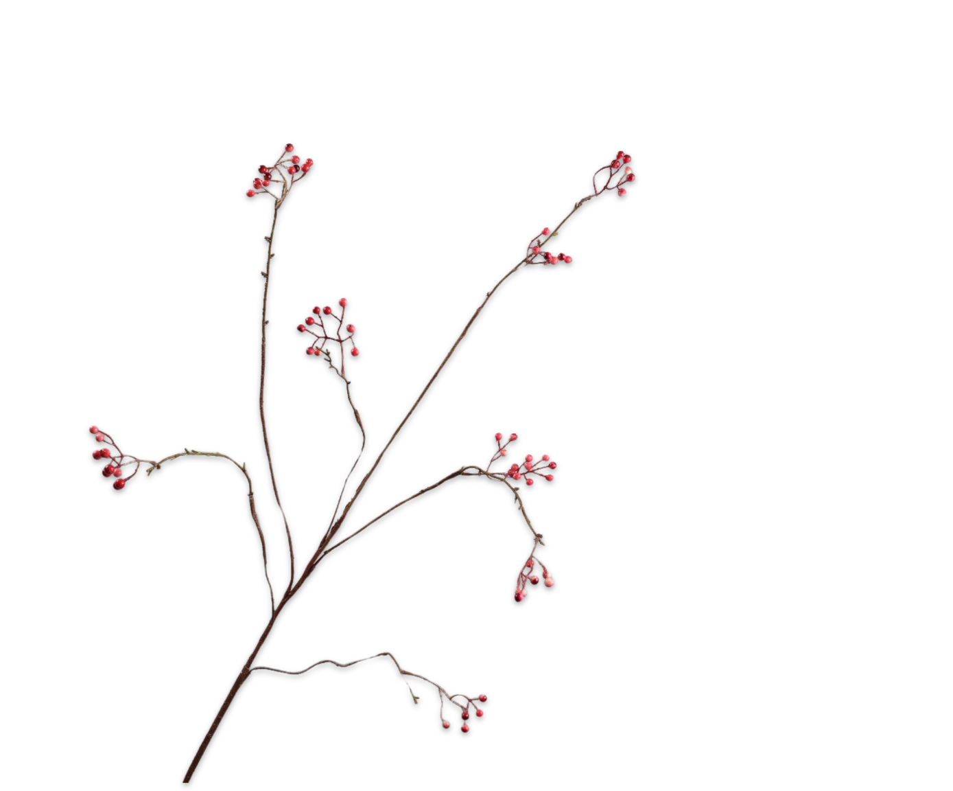 BERRY SPRAY  PNK/RD  127 CM