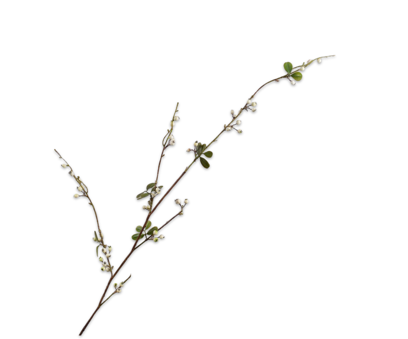 BERRY SPRAY  WHT/GRN  124 CM