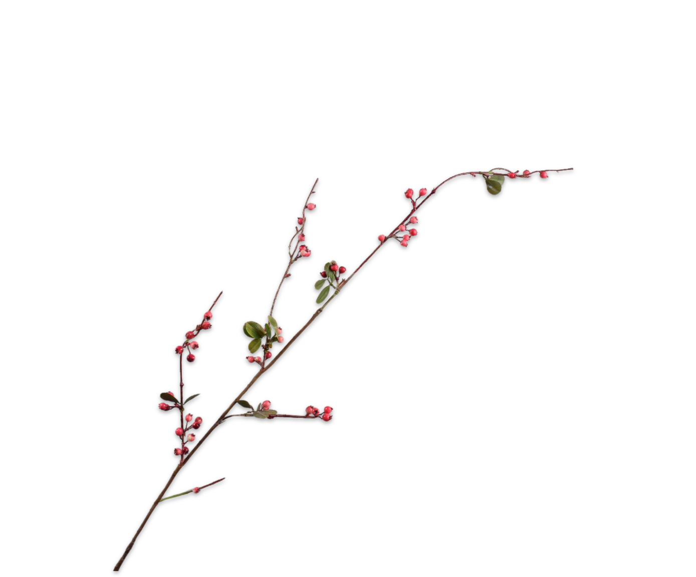 BERRY SPRAY  PNK/RD  124 CM