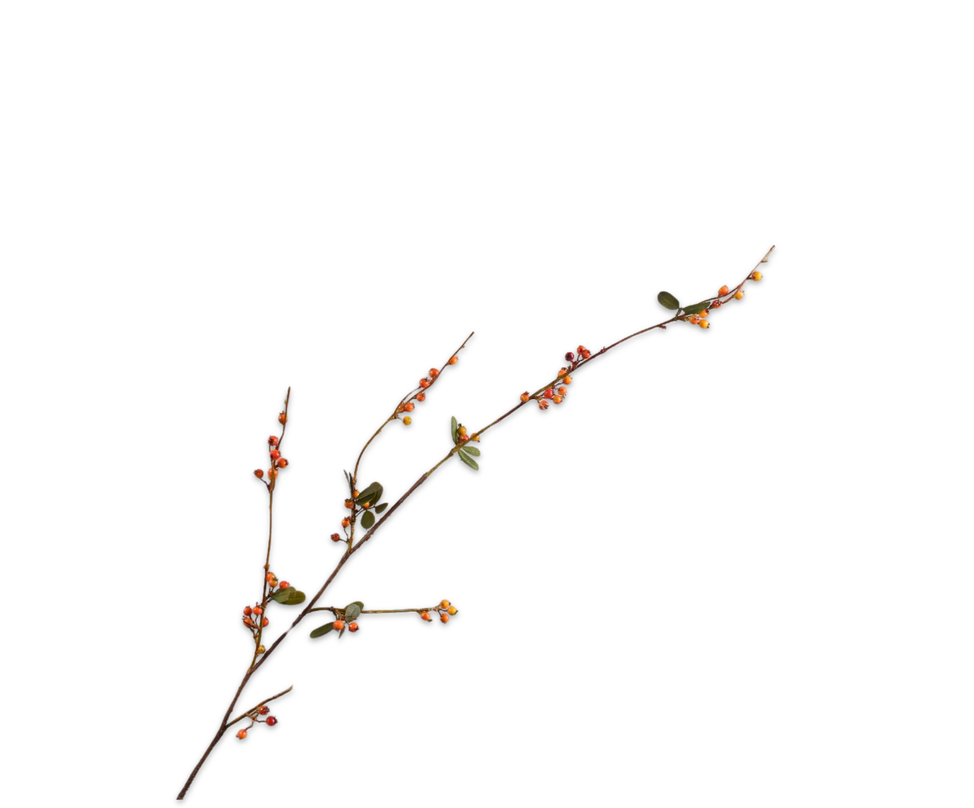 BERRY SPRAY  ORA/RD  124 CM